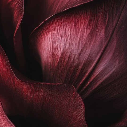 Balance Hormones Naturally